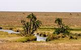 TANZANIA - Serengeti National Park - 025